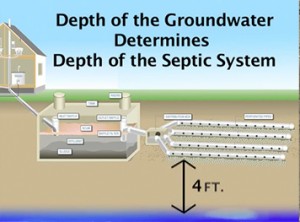 Depth of groundwater determines elevation