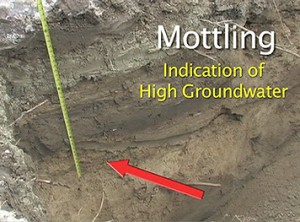 Mottling (coloring) determines high groundwater mark